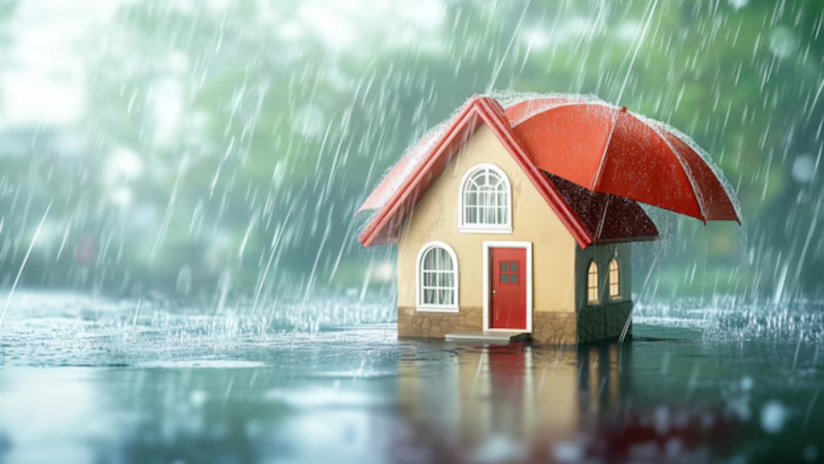 Waterproof Cement to Protect Your Home from Walls and Roof leakage